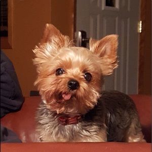 Meet your Posher, Laura